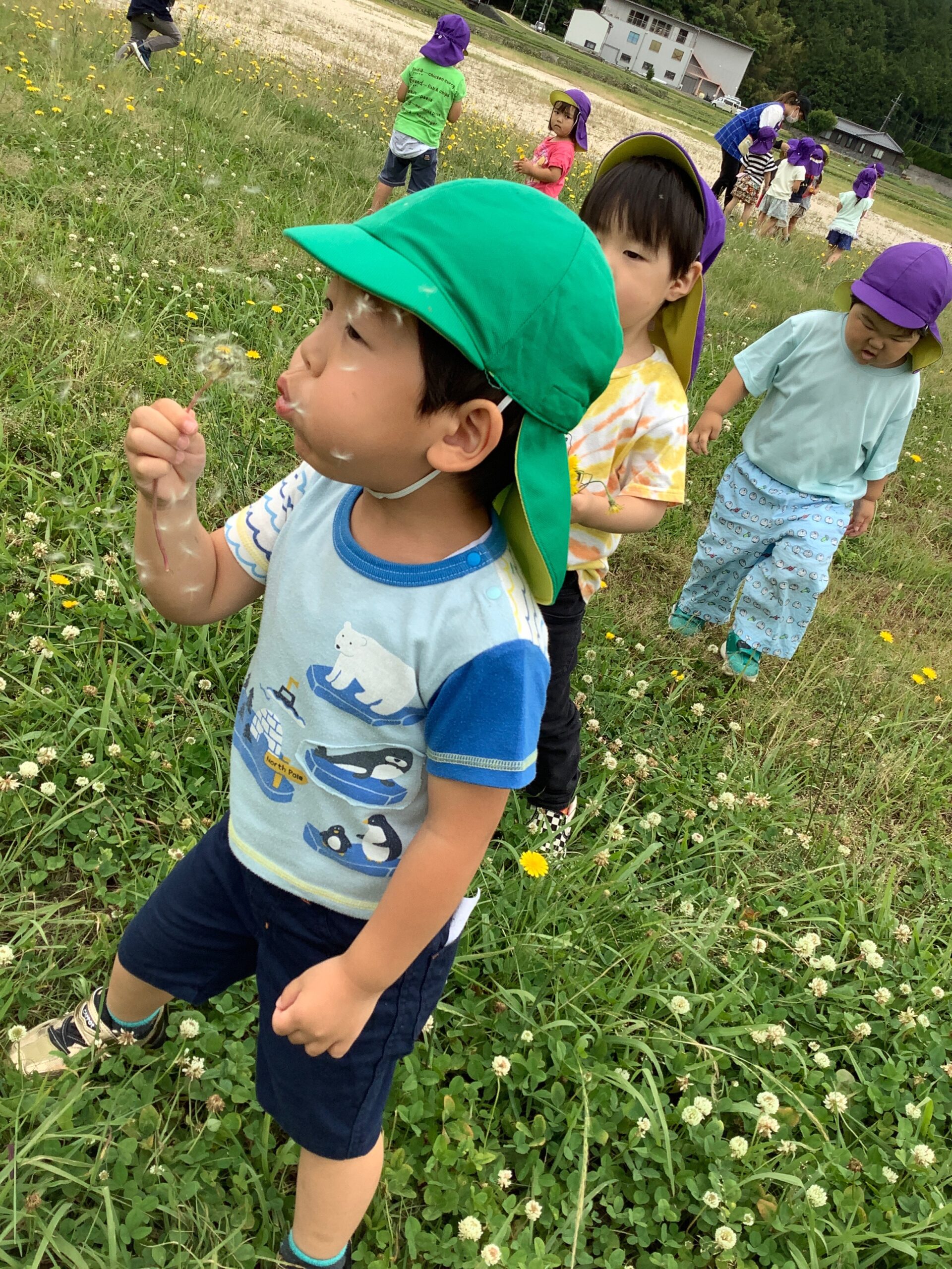 画像：【すみれ組】初夏の花・虫を探しにお散歩🐞
